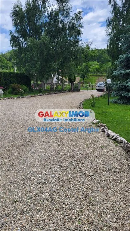 Vindem proprietate superba D+P+E+M in Babana-Arges - foto 12