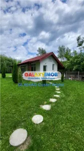 Vindem proprietate superba D+P+E+M in Babana-Arges - foto 19