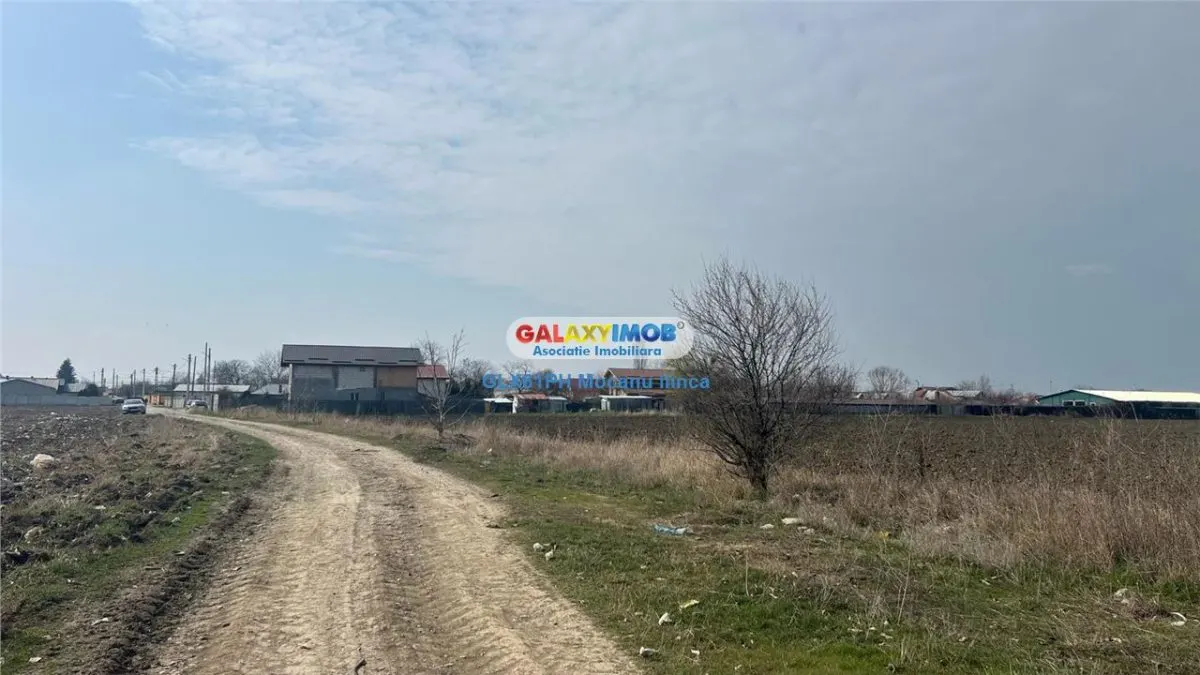 Vanzare teren 3900 mp, in Barcanesti, judet Prahova - foto 2