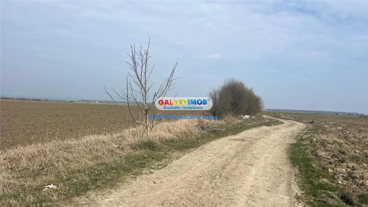 Vanzare teren 3900 mp, in Barcanesti, judet Prahova - foto 6