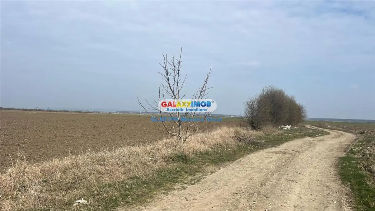 Vanzare teren 3900 mp, in Barcanesti, judet Prahova - foto 7
