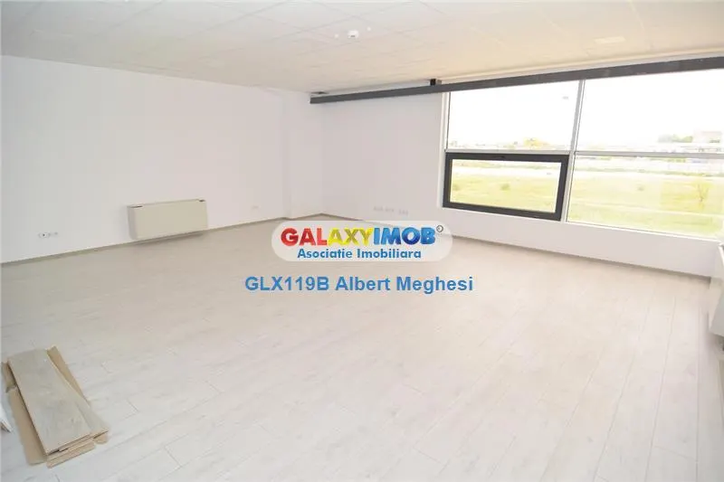 Hala/Depozit 1301 mp Drumul Intre Tarlale/Oxigenului - foto 13