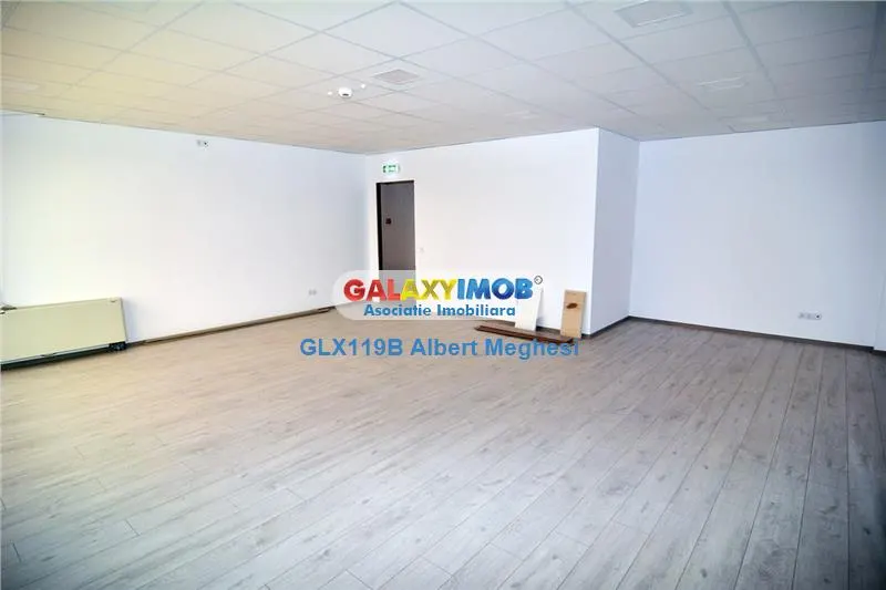 Hala/Depozit 1301 mp Drumul Intre Tarlale/Oxigenului - foto 14