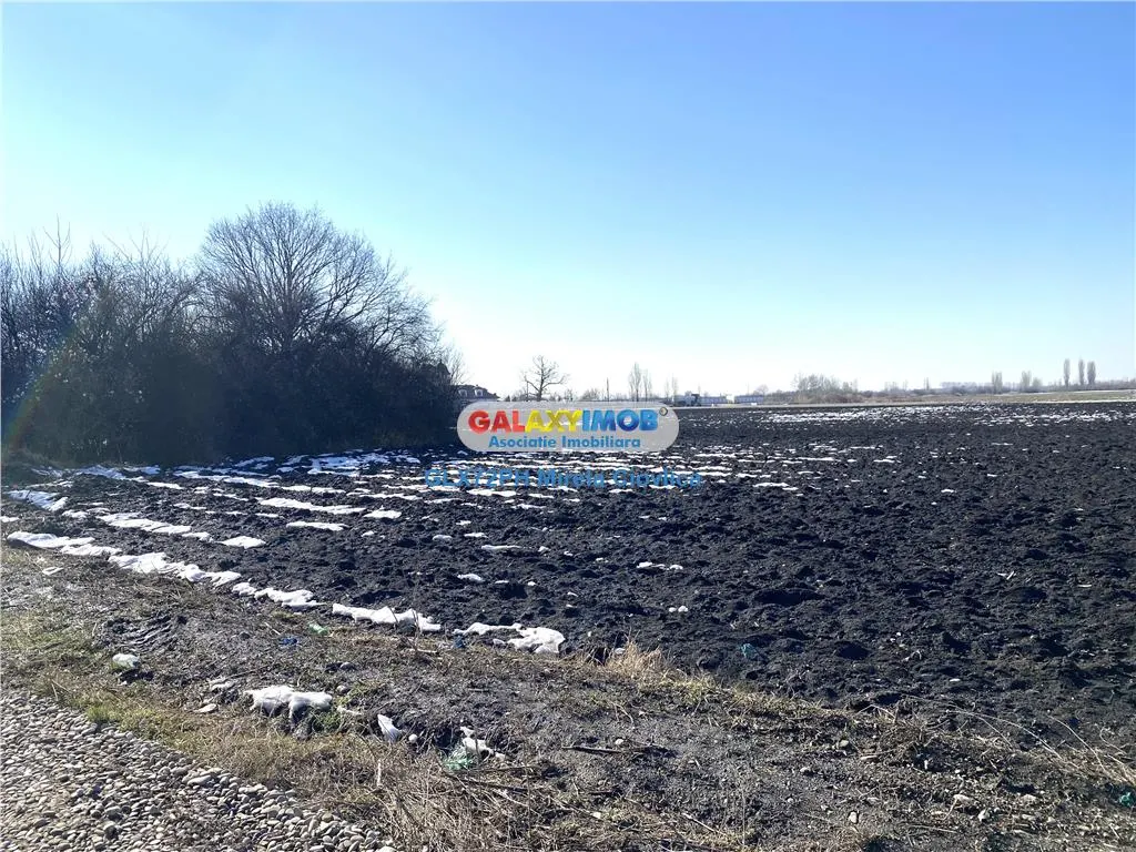 Vanzare teren intravilan Prahova Barcanesti Ghighiu - foto 5