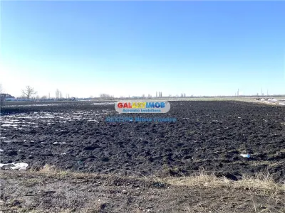 Vanzare teren intravilan Prahova Barcanesti Ghighiu - foto 6