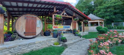 Oaza de liniste si lux:Vila exceptionala! - foto 5