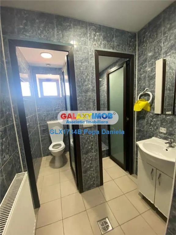 Inchiriere spatiu comercial stradal, Dr.Taberei - Razoare - foto 7