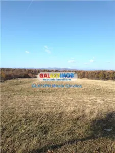Vanzare teren/Inchiriere BAicoi zona Dambu - foto 2