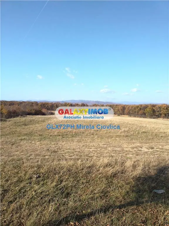 Vanzare teren/Inchiriere BAicoi zona Dambu - foto 2