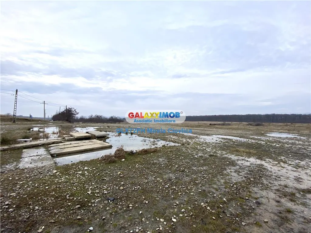 Vanzare teren/Inchiriere BAicoi zona Dambu - foto 7