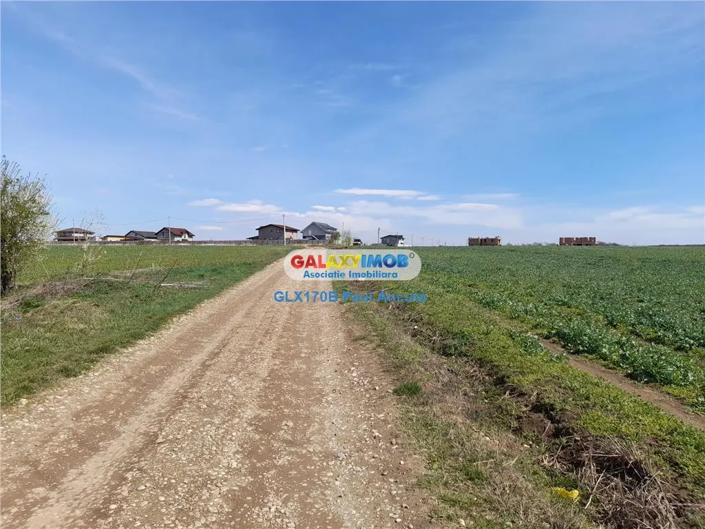 Teren Balotesti Saftica 1250 mp str Lacului cu utilitati apropiere - foto 2