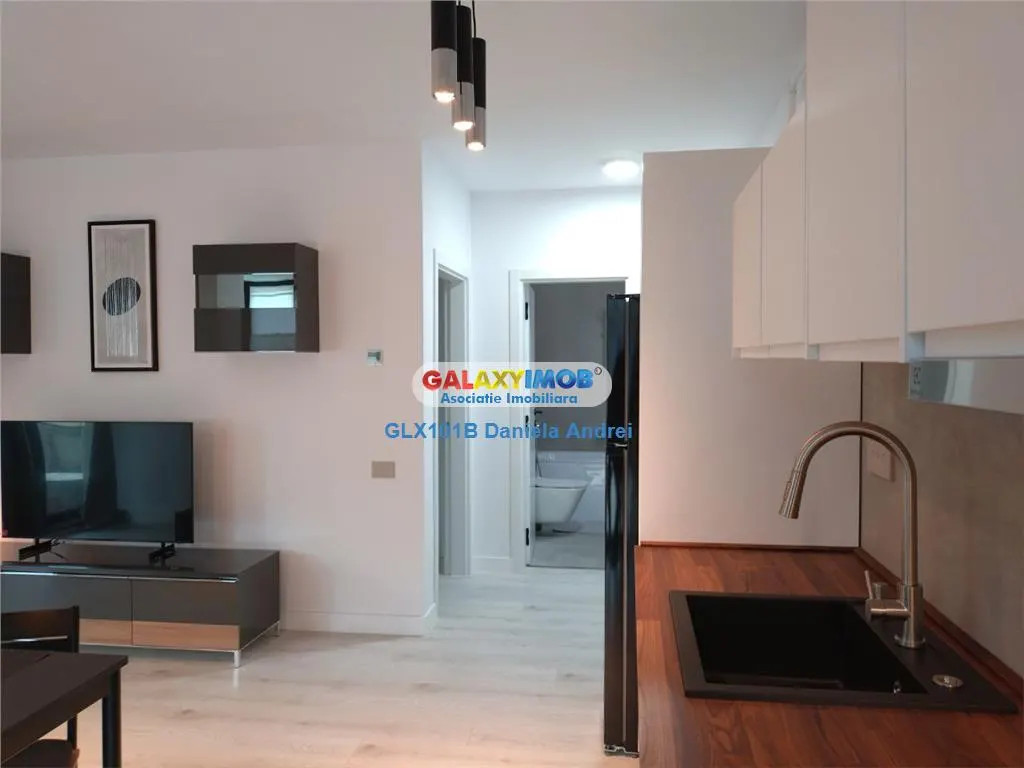 DE INCHIRIAT APARTAMENT 2 CAMERE LUX+GARAJ, ZONA MOSILOR (CENTRAL) - foto 13