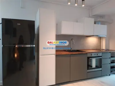 DE INCHIRIAT APARTAMENT 2 CAMERE LUX+GARAJ, ZONA MOSILOR (CENTRAL) - foto 14