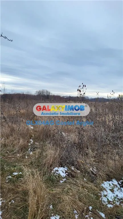 Vindem teren intravilan 3500 mp Smeura - foto 4