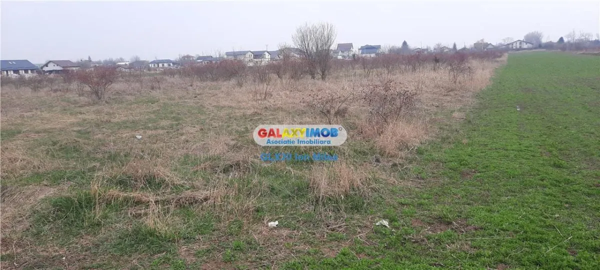 Vanzare teren 500 mp, dubla deschidere Manastirea Crevedia - foto 2
