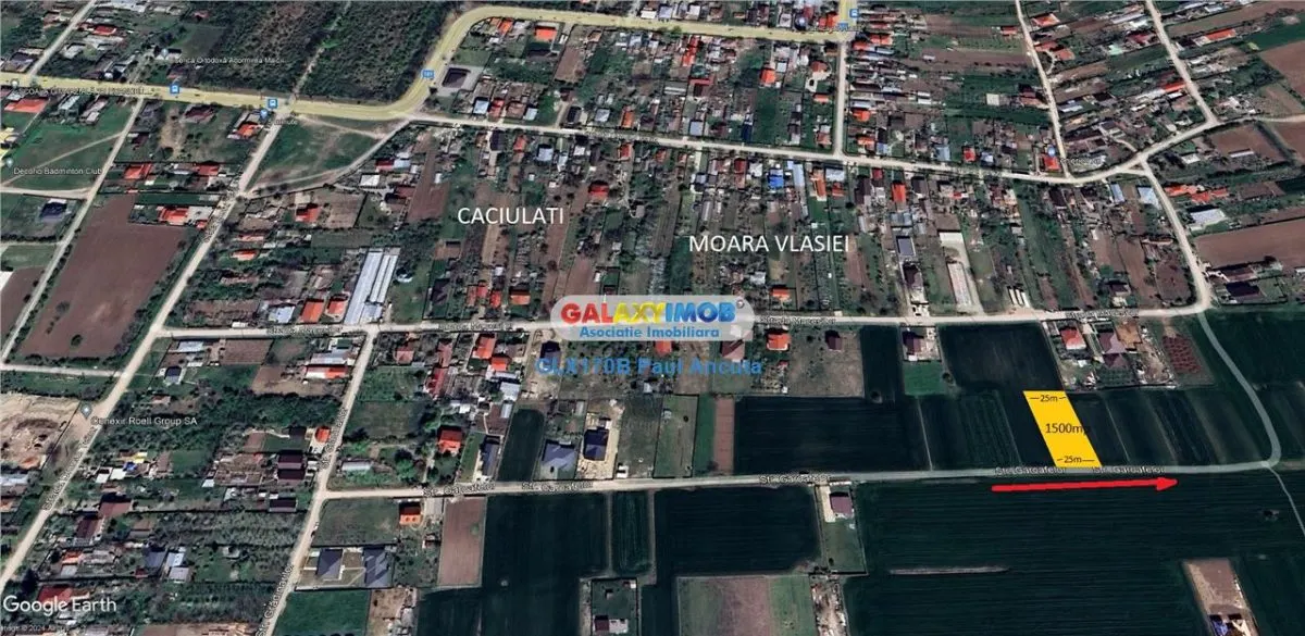 Teren Caciulati Moara Vlasiei 1500 mp pe str Garoafelor - foto 1
