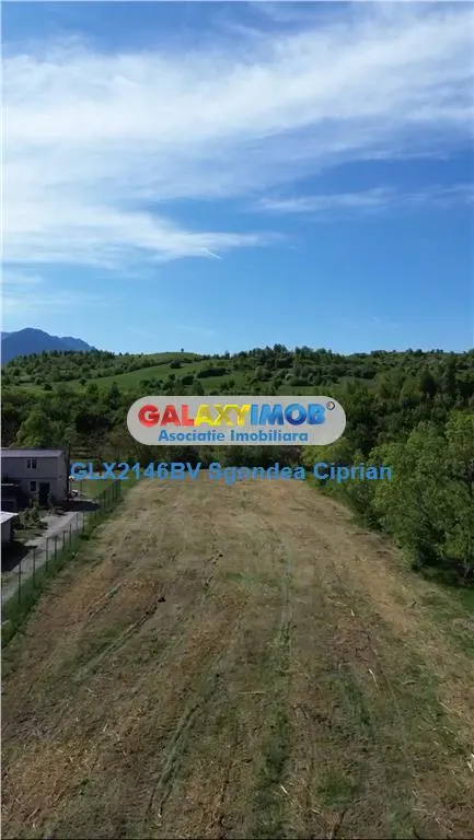 Teren Intravilan 3 km Bran 25 km Brasov - foto 4