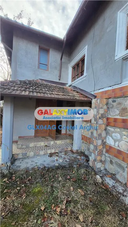 Vindem o altfel de casa , o casa boiereasca in Curtea de Arges ! - foto 2