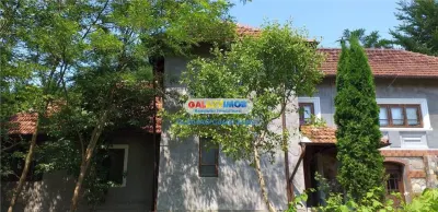 Vindem o altfel de casa , o casa boiereasca in Curtea de Arges ! - foto 3