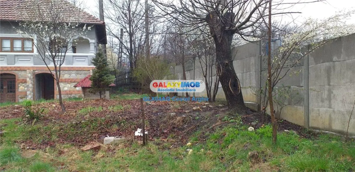 Vindem o altfel de casa , o casa boiereasca in Curtea de Arges ! - foto 24