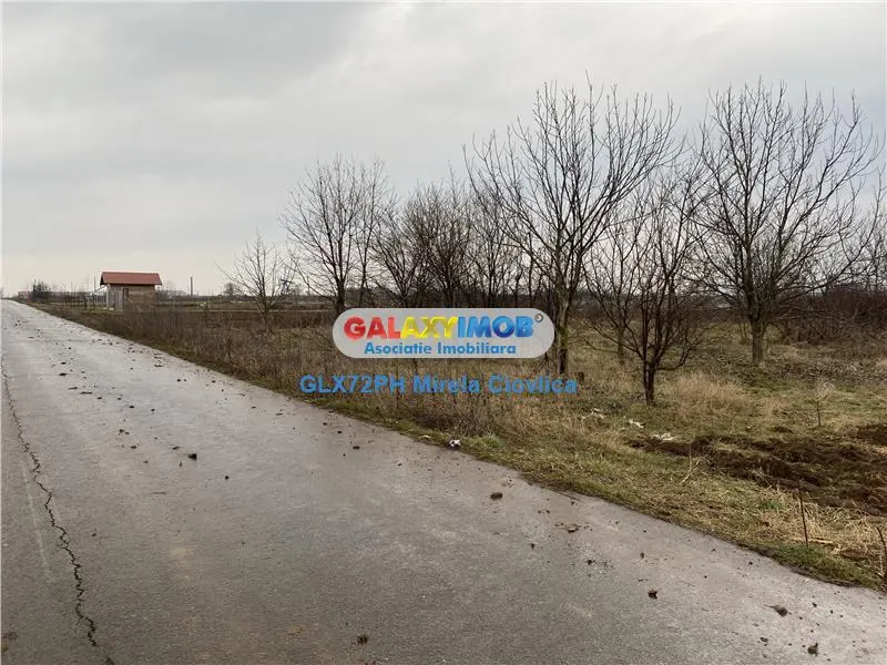 Vanzare teren industrial Baicoi - foto 1