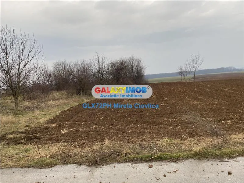 Vanzare teren industrial Baicoi - foto 2