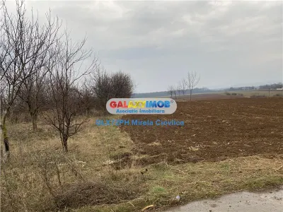 Vanzare teren industrial Baicoi - foto 3