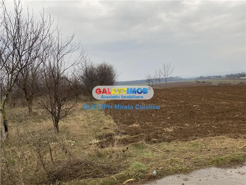 Vanzare teren industrial Baicoi - foto 3