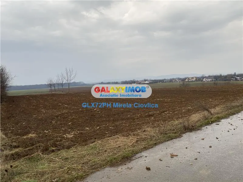 Vanzare teren industrial Baicoi - foto 4