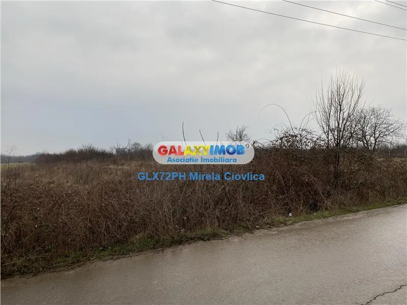 Vanzare teren industrial Baicoi - foto 7
