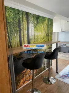 Inchiriere apartament doua camere bvd.  Unirii - foto 12