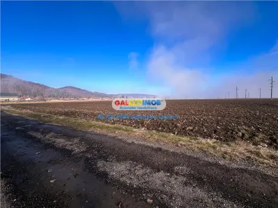 Teren Tohanu Vechi 5 km Bran 25 km Brasov - foto 4