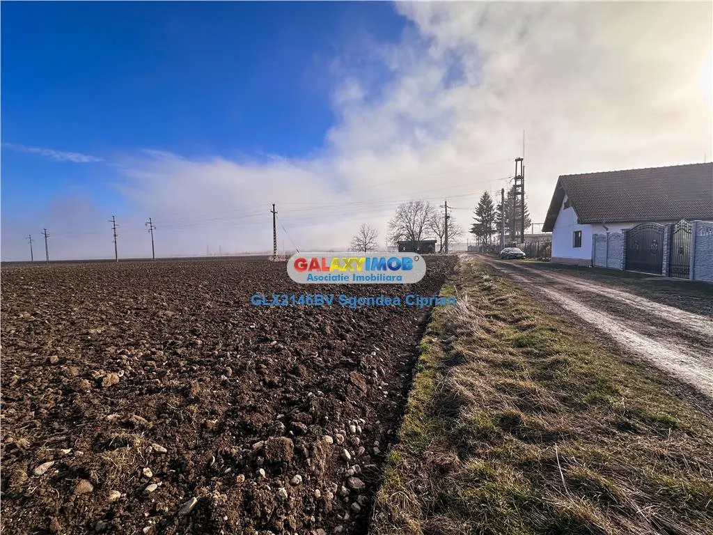 Teren Tohanu Vechi 5 km Bran 25 km Brasov - foto 8
