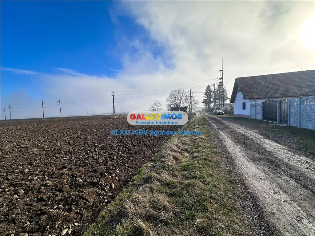 Teren Tohanu Vechi 5 km Bran 25 km Brasov - foto 10