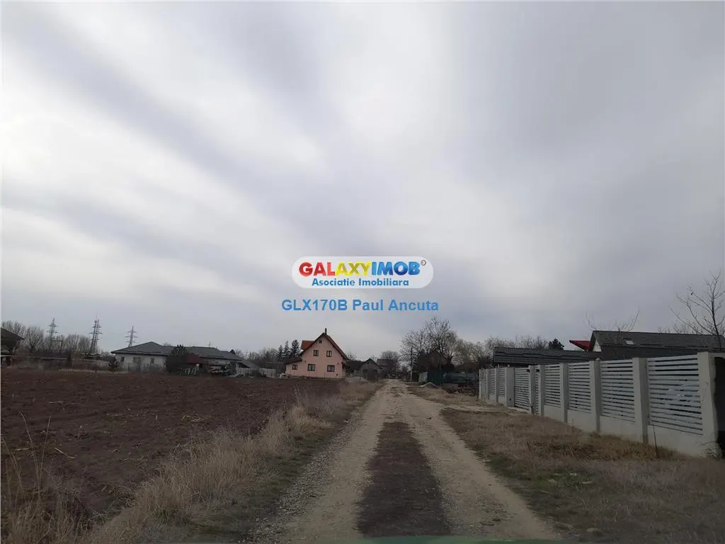 Teren Moara Vlasiei 1500 mp str Garoafelor - foto 3