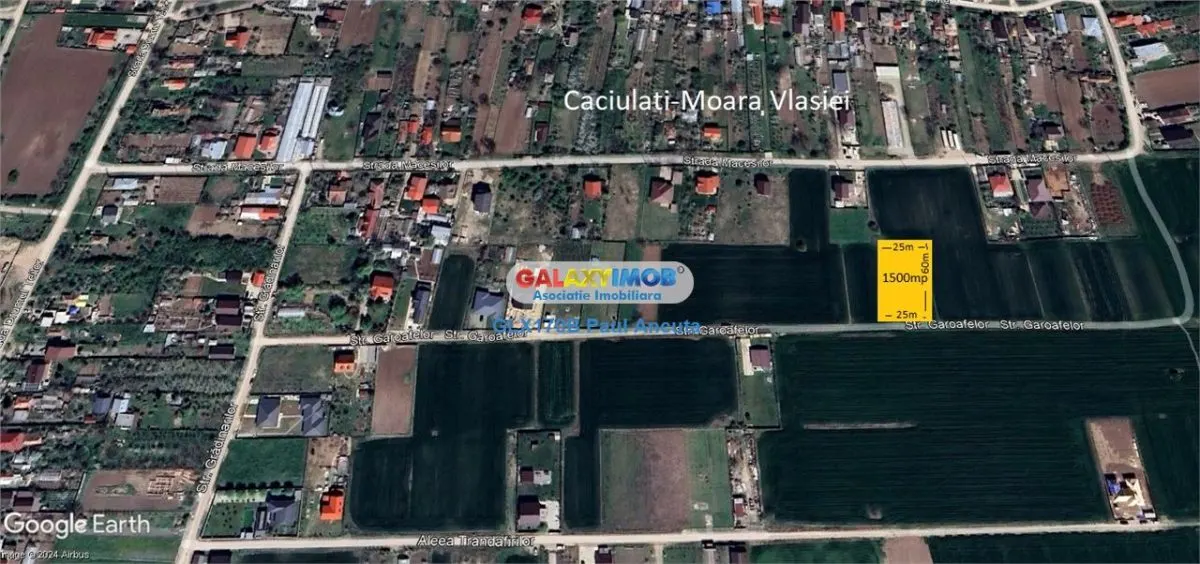 Teren Moara Vlasiei 1500 mp str Garoafelor - foto 4