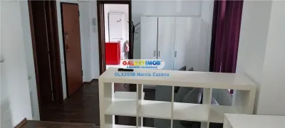 Calea Mosilor Maiorescu vanzare garsoniera parter inalt garaj - foto 12