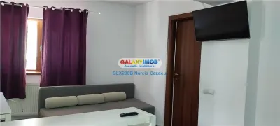 Calea Mosilor Maiorescu vanzare garsoniera parter inalt garaj - foto 3