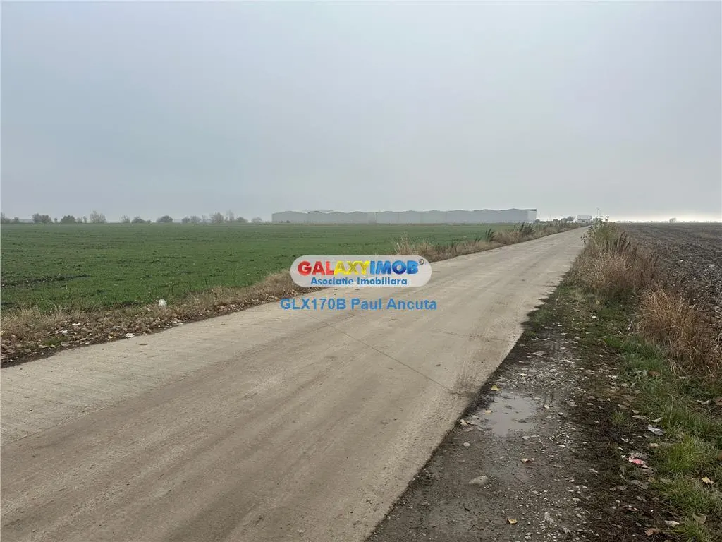 Teren la sosea Afumati Petrachioia 29500 mp pentru Industrial - foto 1
