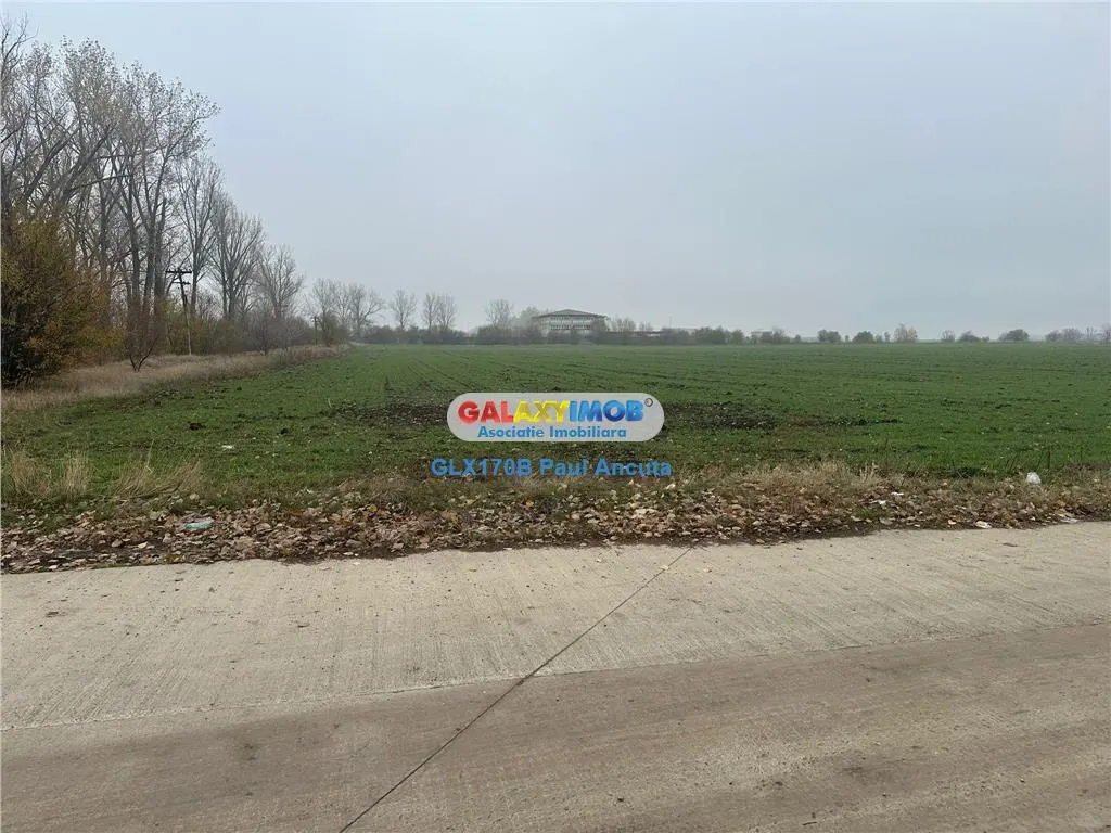 Teren la sosea Afumati Petrachioia 29500 mp pentru Industrial - foto 2