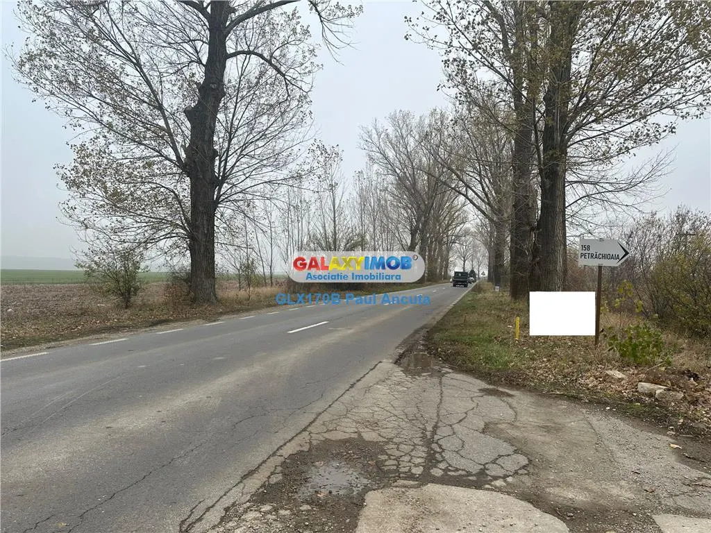 Teren la sosea Afumati Petrachioia 29500 mp pentru Industrial - foto 3