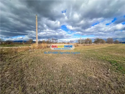 Teren Halchiu 5000 mp cu utilitati si puz - Halchiu