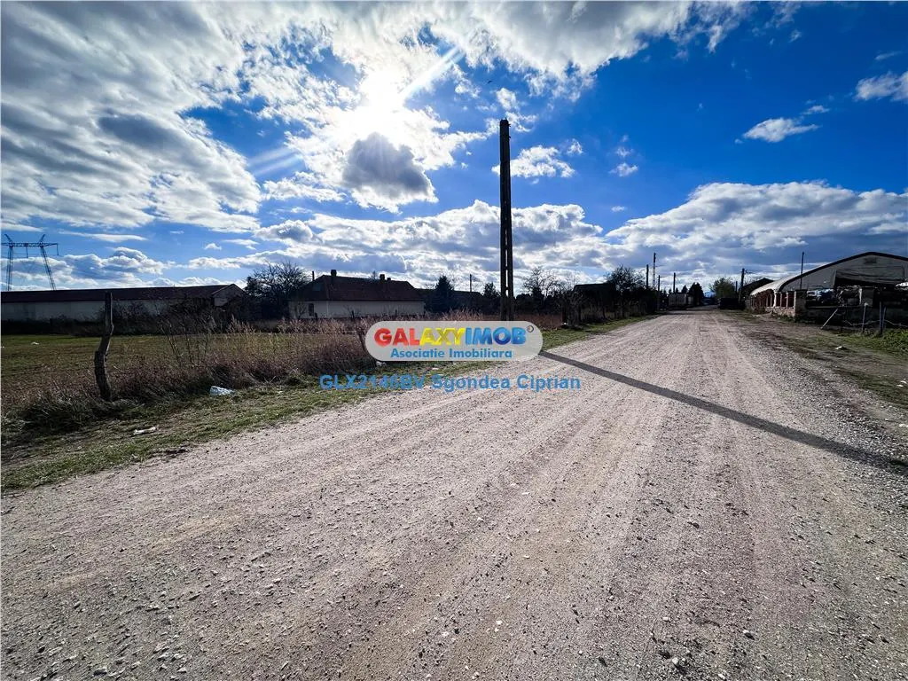 Teren Halchiu 5000 mp cu utilitati si puz - foto 2