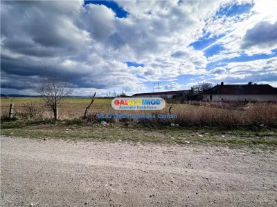 Teren Halchiu 5000 mp cu utilitati si puz - foto 3