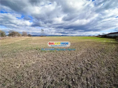 Teren Halchiu 5000 mp cu utilitati si puz - foto 4
