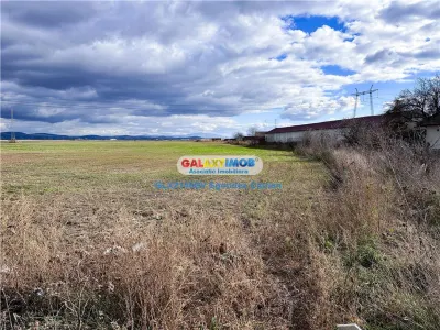 Teren Halchiu 5000 mp cu utilitati si puz - foto 5