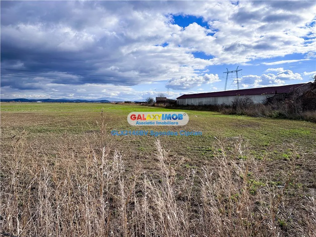 Teren Halchiu 5000 mp cu utilitati si puz - foto 6