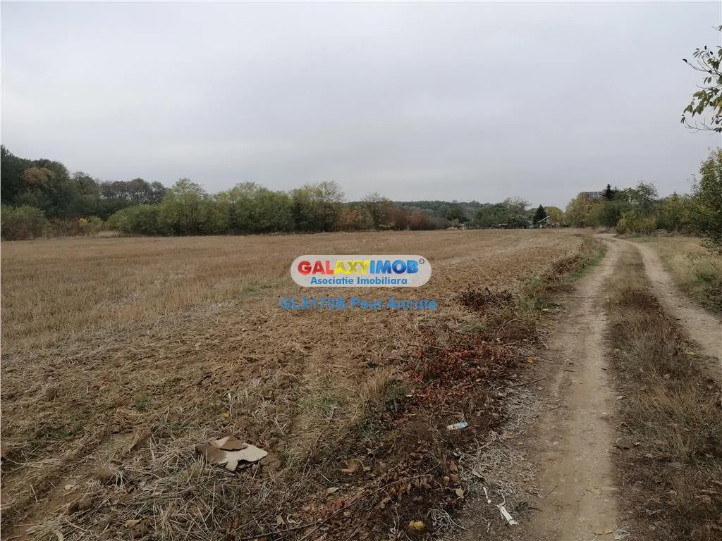 3 Loturi casa Ciolpani str Stadionului cu vedere la Padure - foto 1