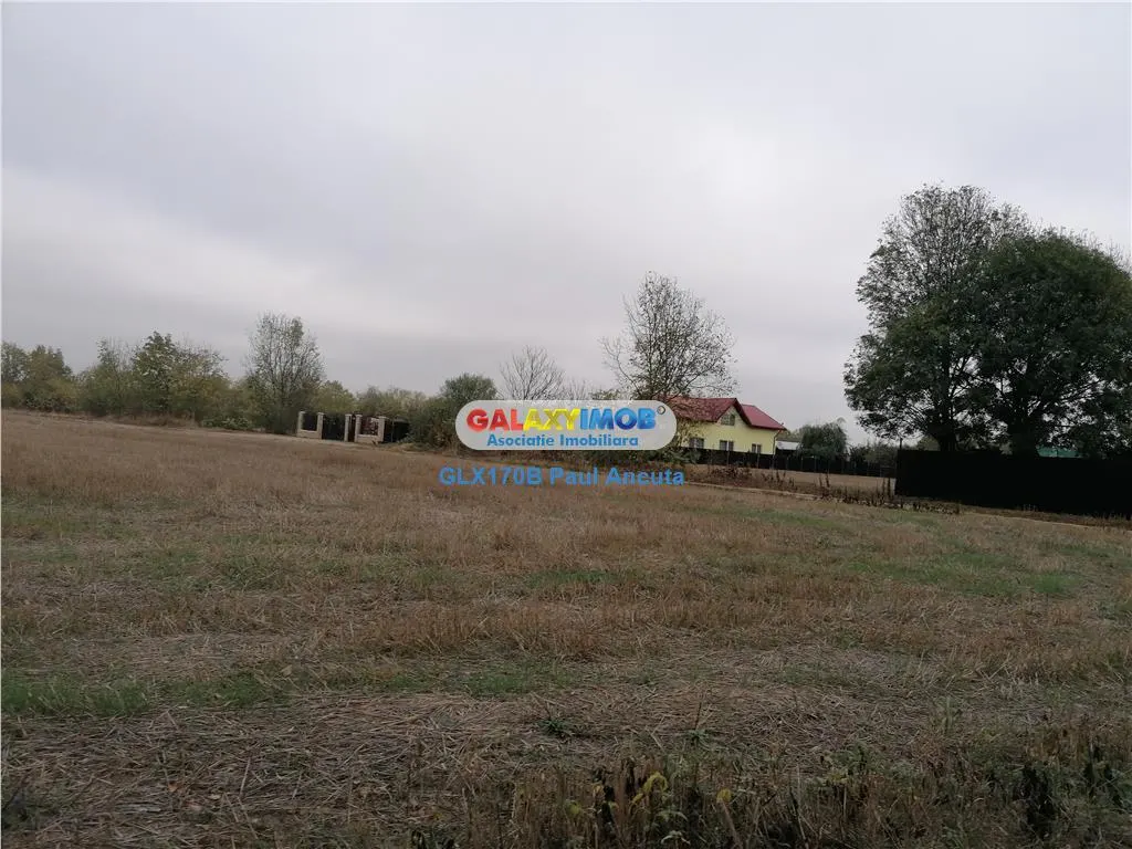 3 Loturi casa Ciolpani str Stadionului cu vedere la Padure - foto 2
