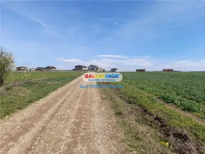 Teren Lac Balotesti 5000 mp intravilan utilitati str Lacului. - Balotesti